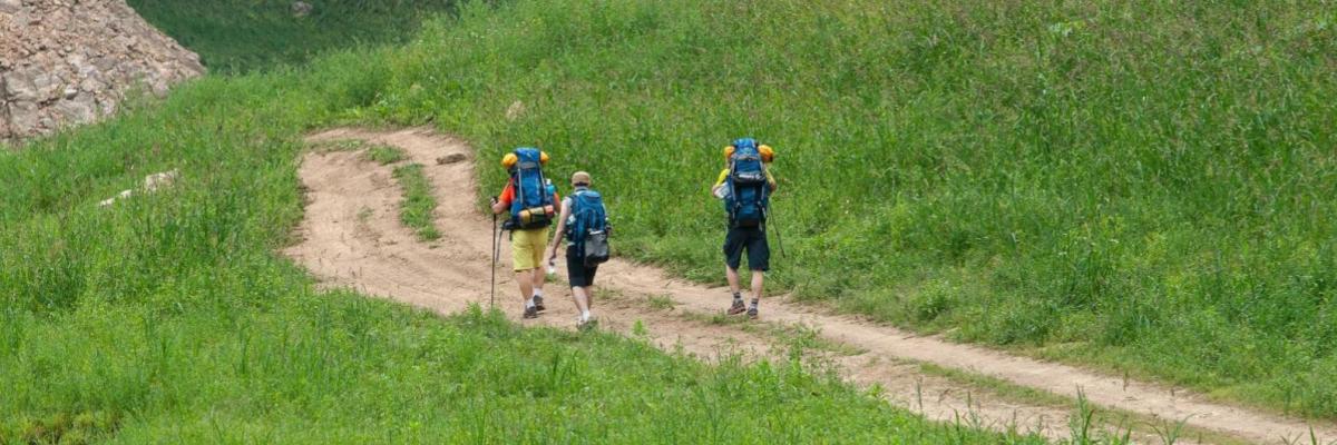pixabay_chulmin1700-tracking-4824003_.jpg